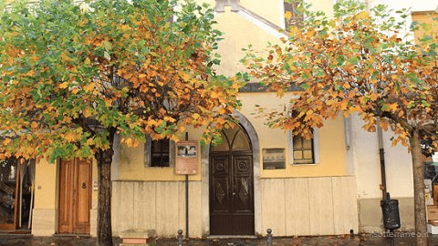 Edificio storico tra gli ulivi nei pressi di Gasperina