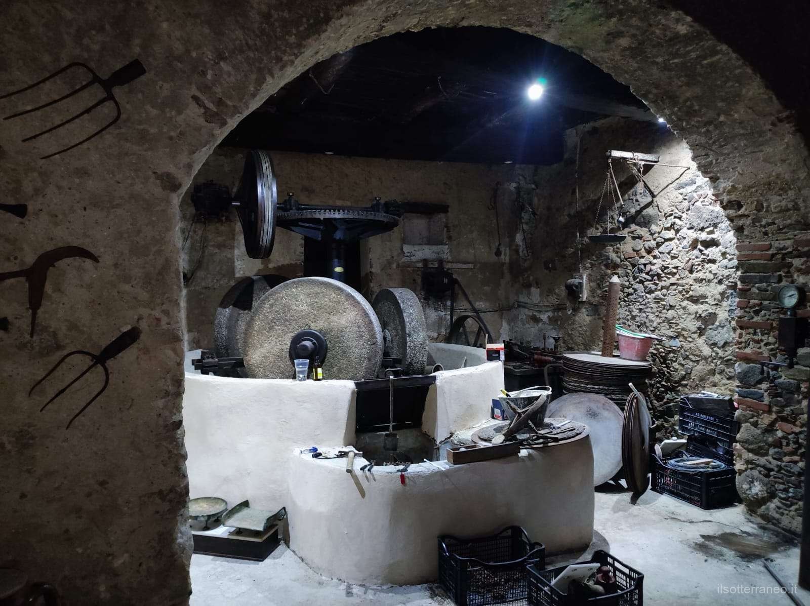 Allestimento del polo dell’olio e dell’oliva